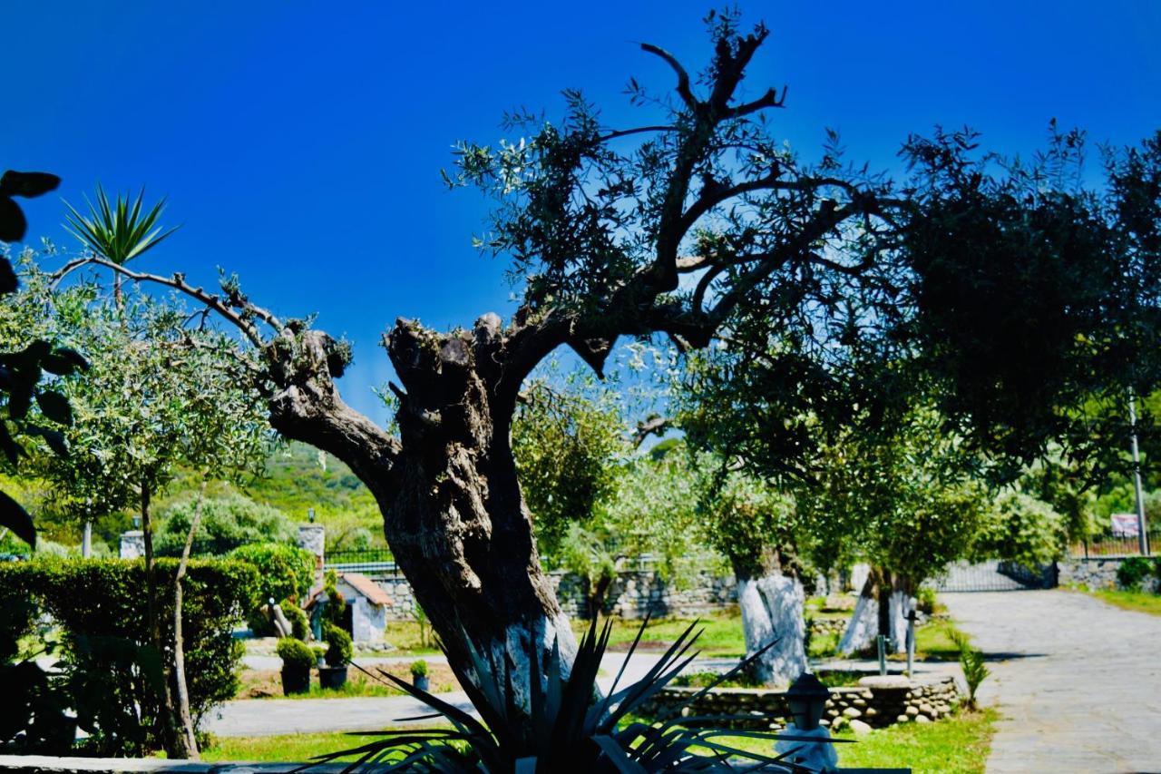 Hotel Kari Ouranoupoli Buitenkant foto
